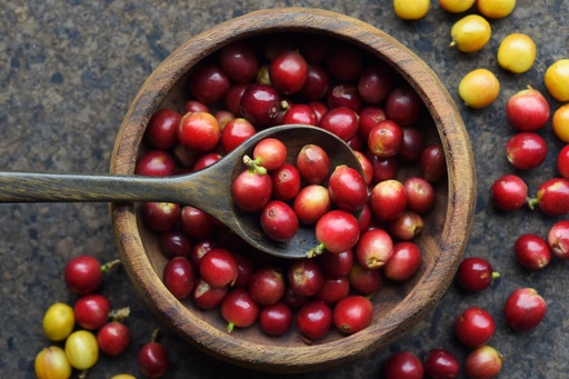 Cà phê Arabica tươi