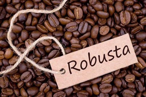 Cà phê nhân Robusta natural
